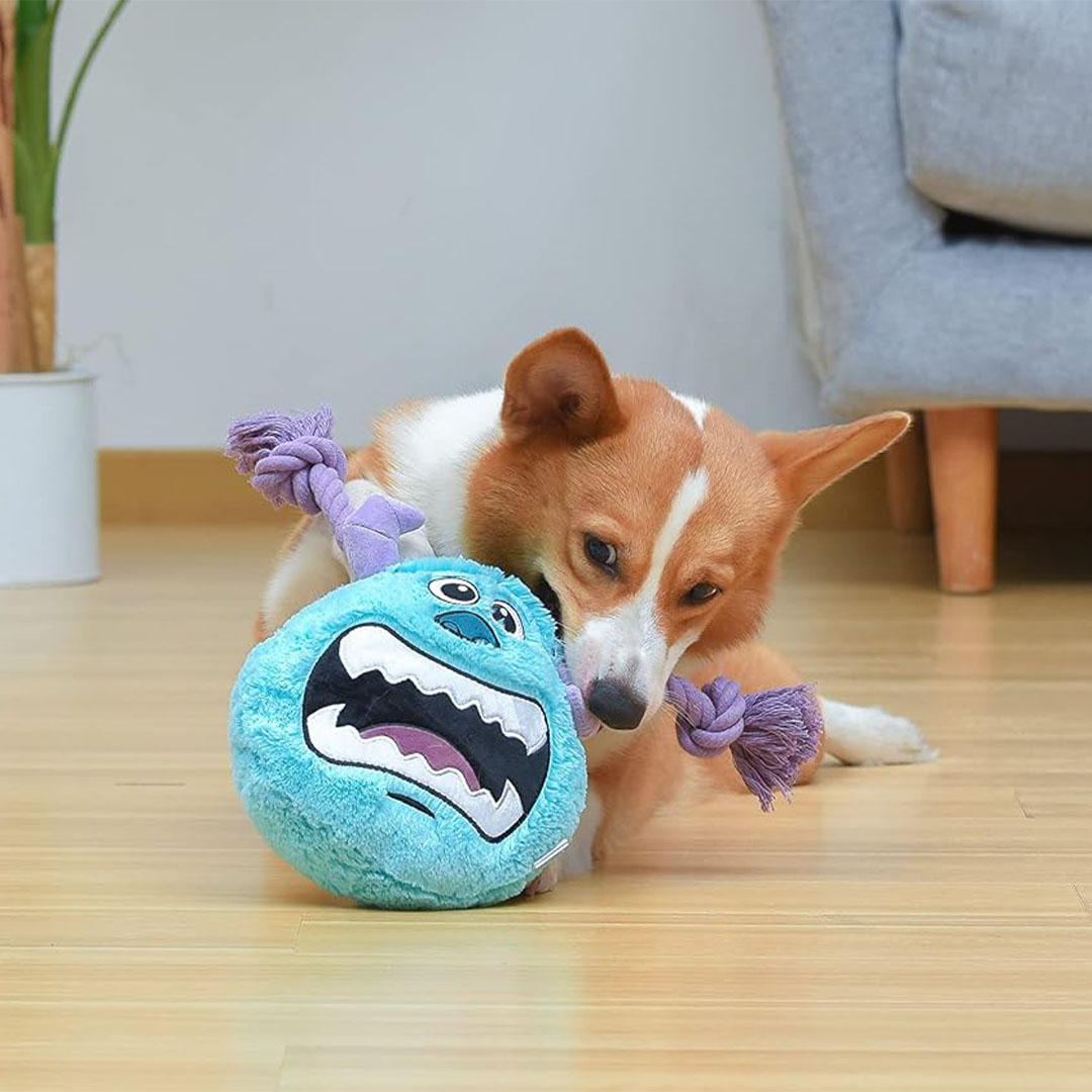 Disney for Pets - Sulley Rope Dog Toy